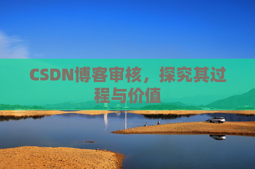 CSDN博客审核，探究其过程与价值